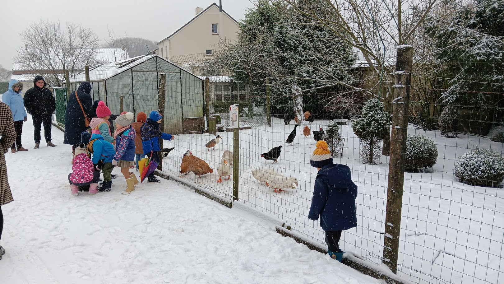 Op bezoek in de winter